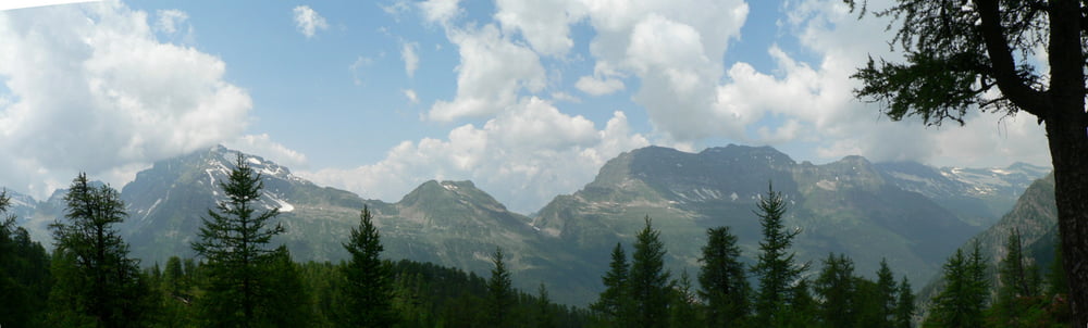 Panoramica dal rifugio Buffalora