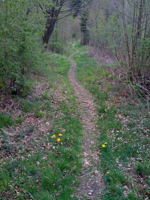 Niederstotzinger Trail Vergnügen