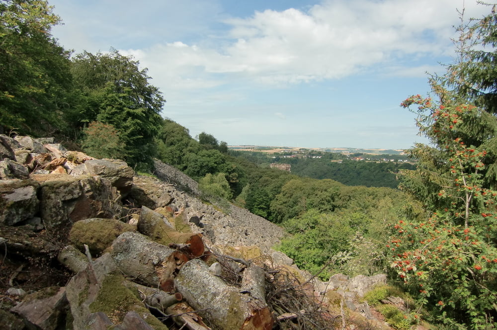 SW-Taben-Maunert-Felsenpfad-Saarburg-19km