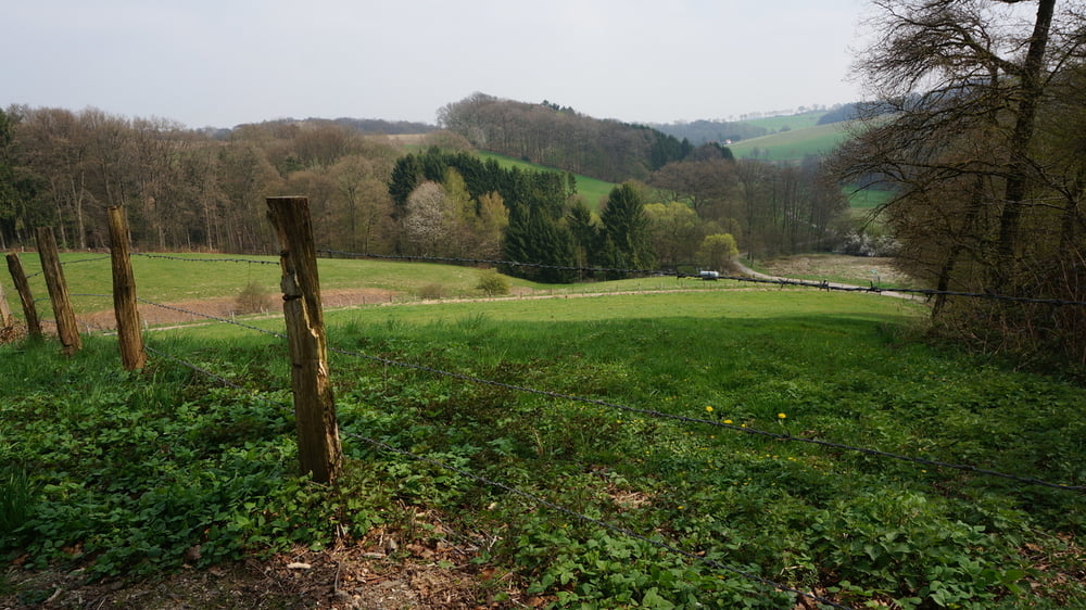 Zwischen Agger und Naafbach