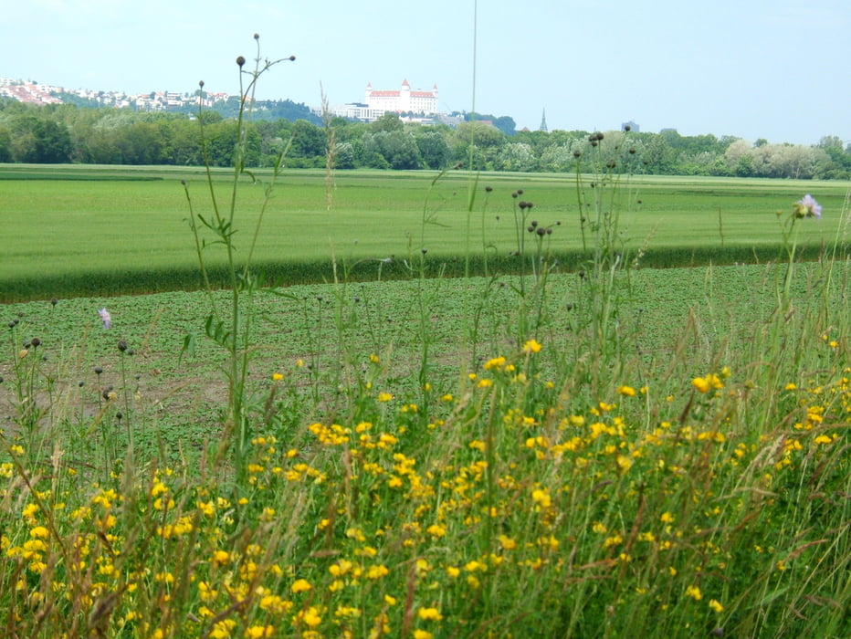 Wien - Budapest - Balaton 
