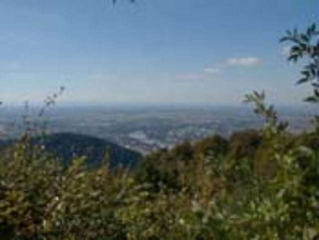 Heidelberg Trails