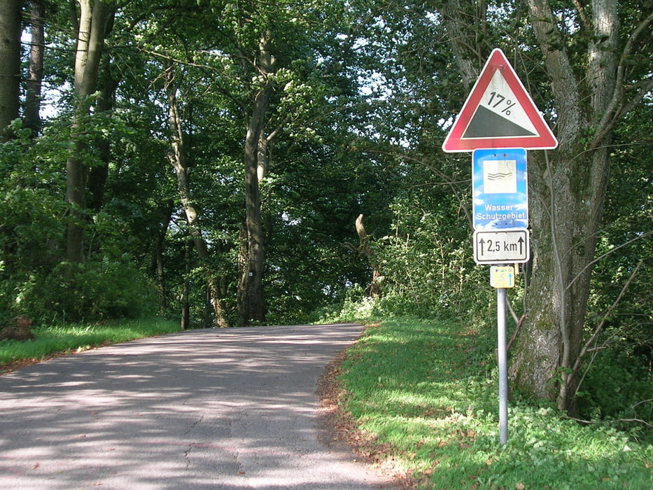 Albbüffel genießen in Gächingen