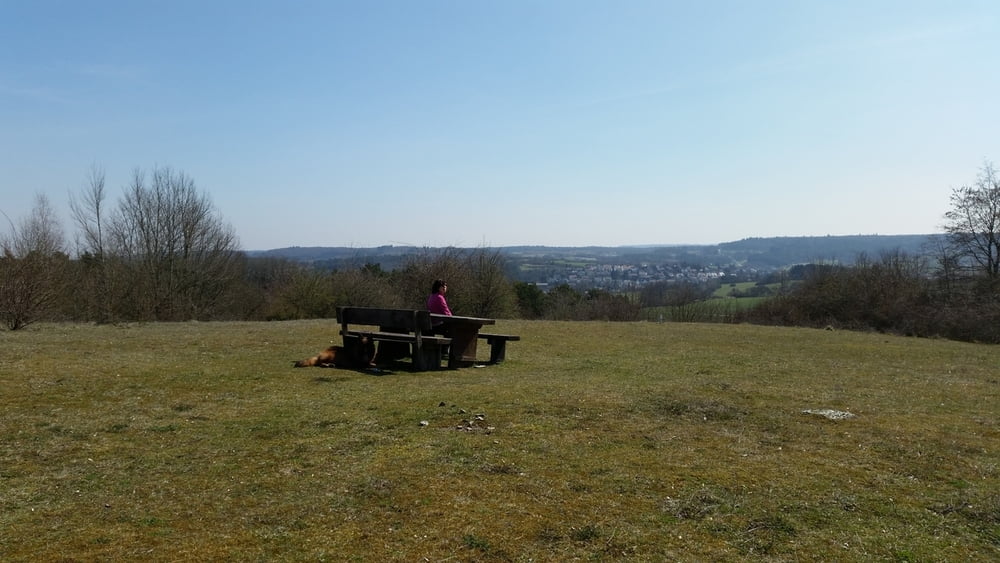 Goldstadttour: Die Wacholderheide bei Heimsheim und der Betzenbuckel