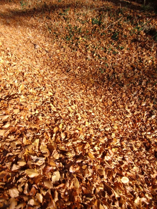 Herbst-Winter Trainingsrunde DL-VO