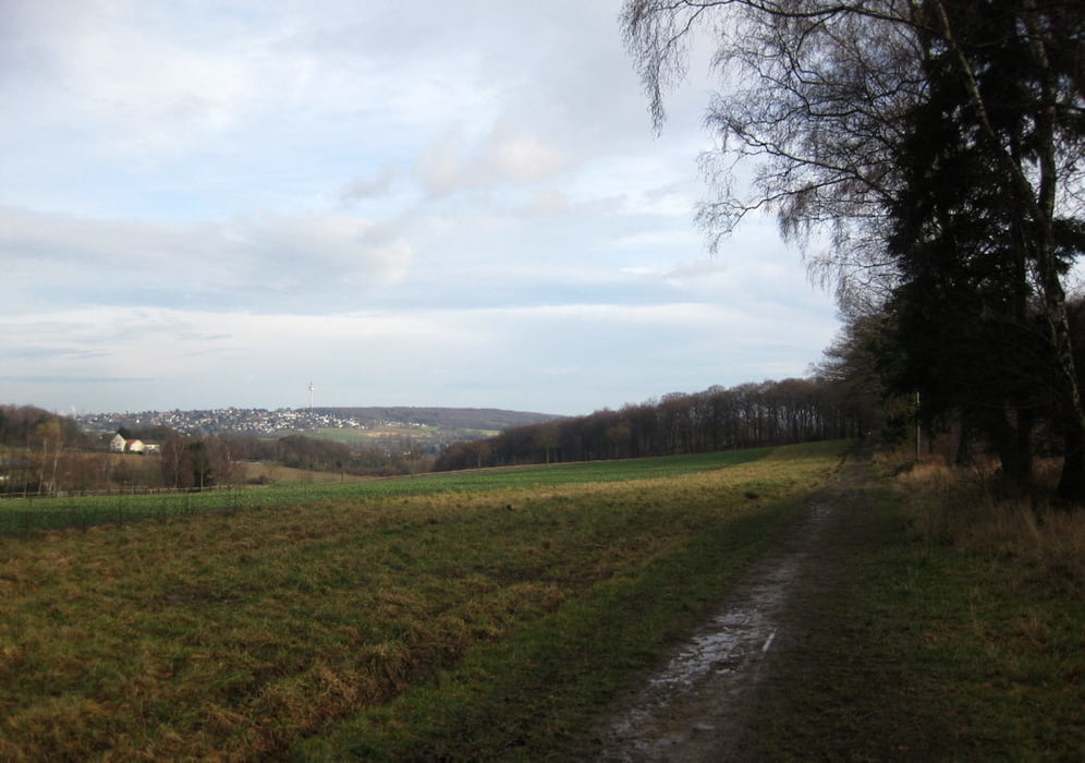 Siggi-Tour Hohensyburg-Hengstey und Harkordsee