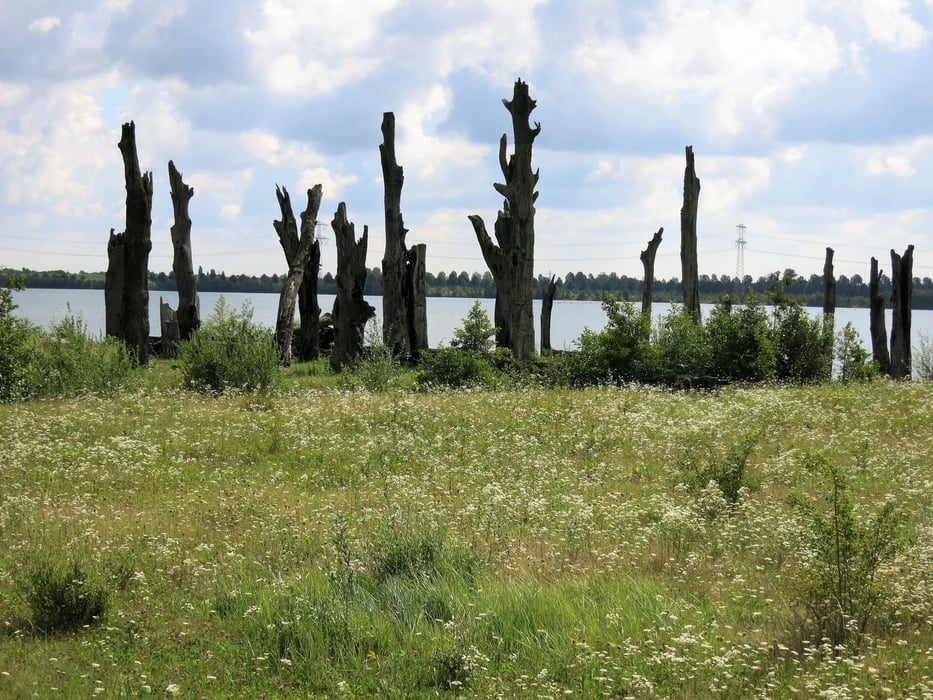 Molenplas (Mühlensee)