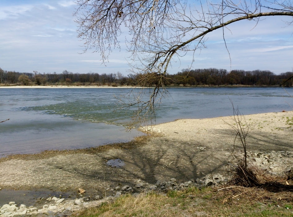 Donauinsel - Donauauen