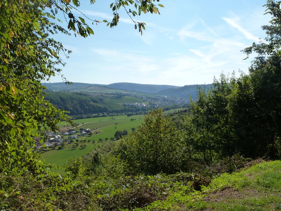 Traumschleife "Saar-Leuktal-Panorama" 