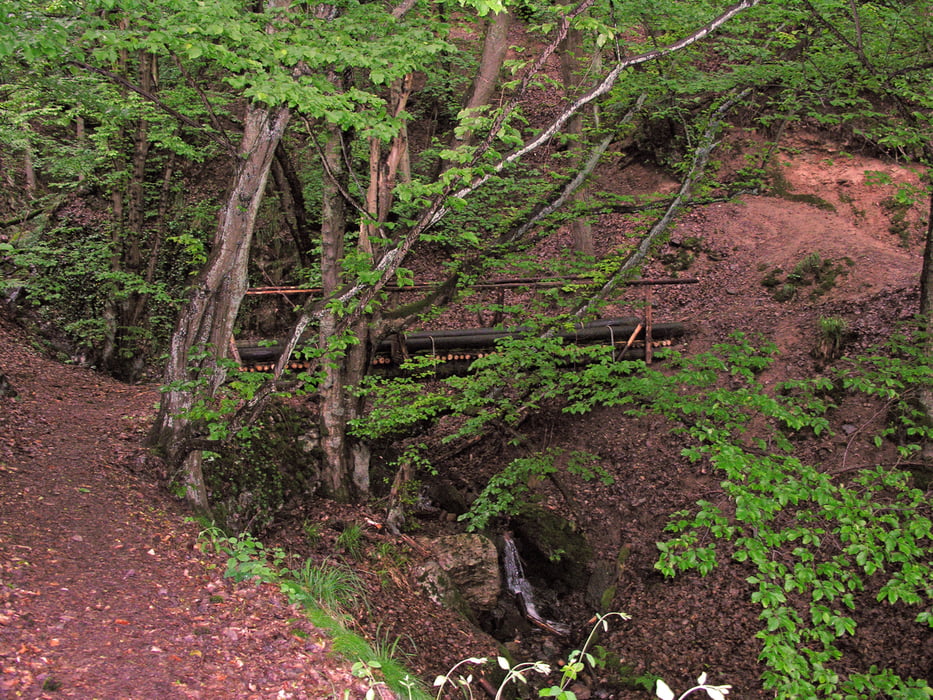 Bingerbrück-Kreuzbachklamm-Villa Rustica-Burg Rheinstein-Schweizerhaus-Bingerbrück