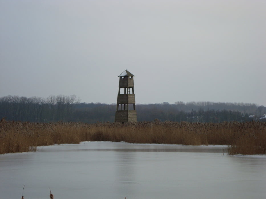Het Vinne