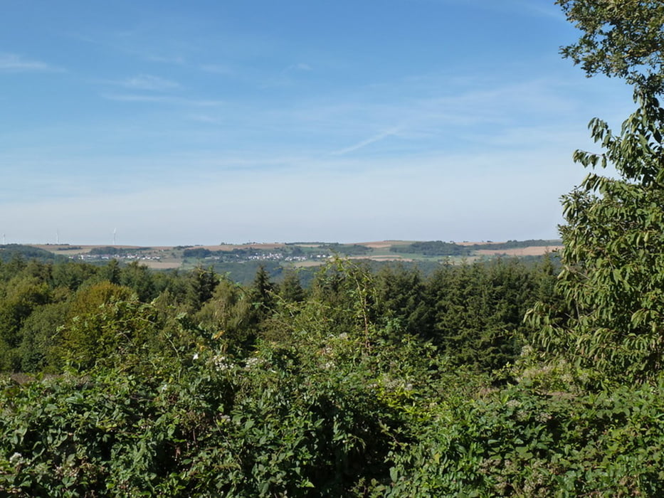 Traumschleife „Saar-Leuktal-Panorama“