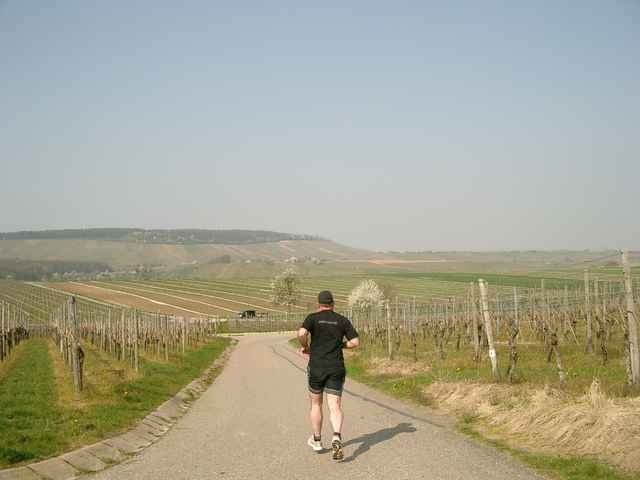 Nordheimlauf