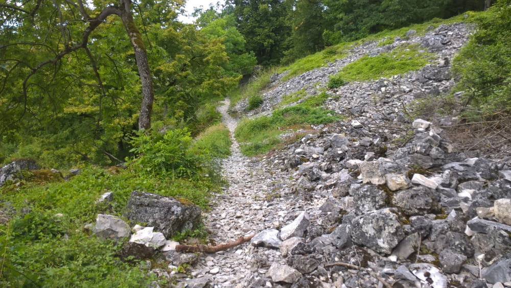 Schotter Trail