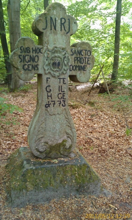 Von Zeil am Main in den Steigerwald, zum Steinernen Kreuz, im Böhlgrund zurück