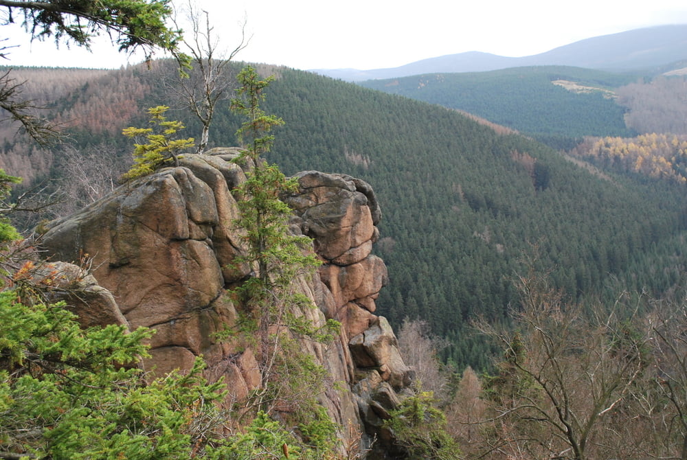 Molkenhaus-Rabenklippe-Kreuz des deutschen Ostens