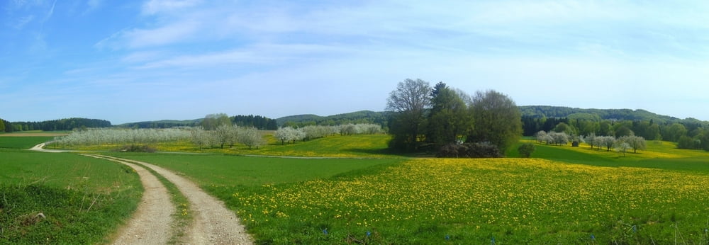 Wandern Franken: Oberwindsberg-Simmelsdorf im Frühjahr