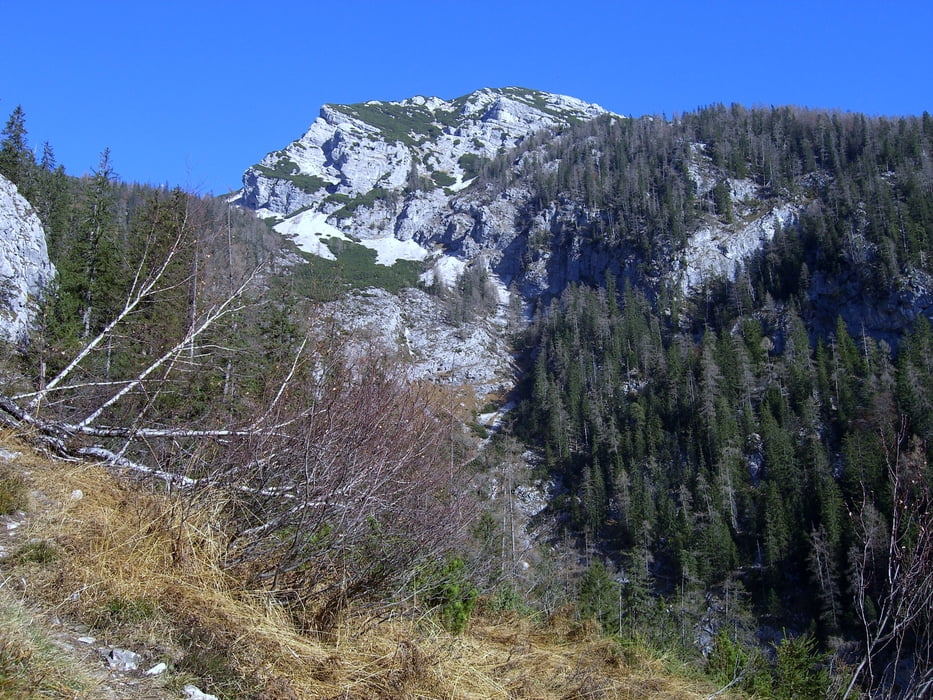 Hohe Nock von Windischgarsten (Rading)