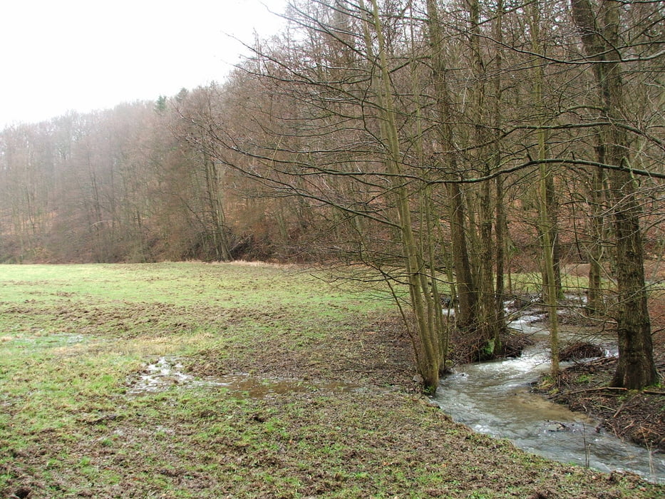 Taunus: Bad Camberg - Dombachtal - Bad Camberg (1)