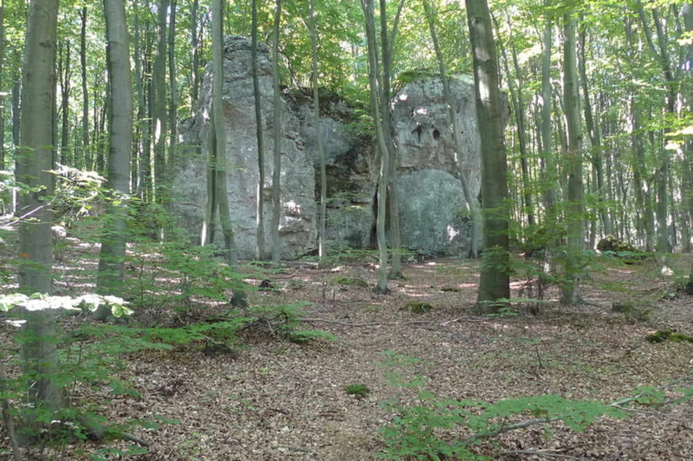 Suliszowice
