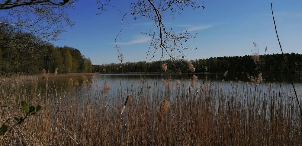 365. Oderiner See Rund um den See ;-))