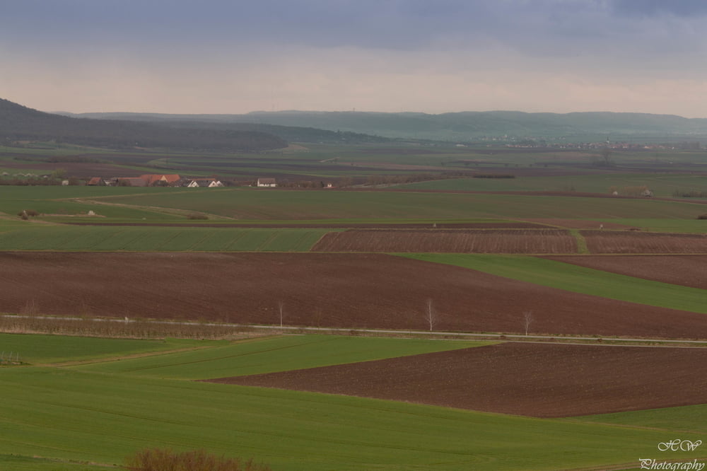 Von Neustadt/Aisch nach Ipsheim