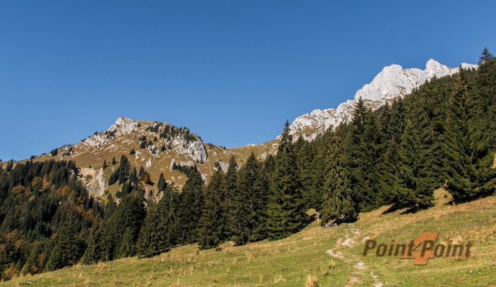 Ammergauer Alpen: Gehrenalpe und Gehrenjoch