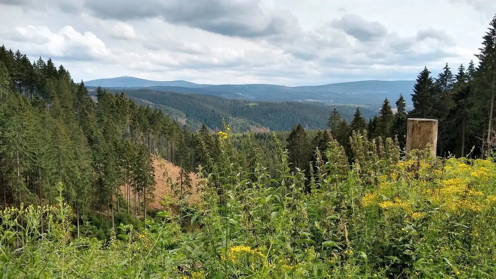 Variante G5 Brockenblick
