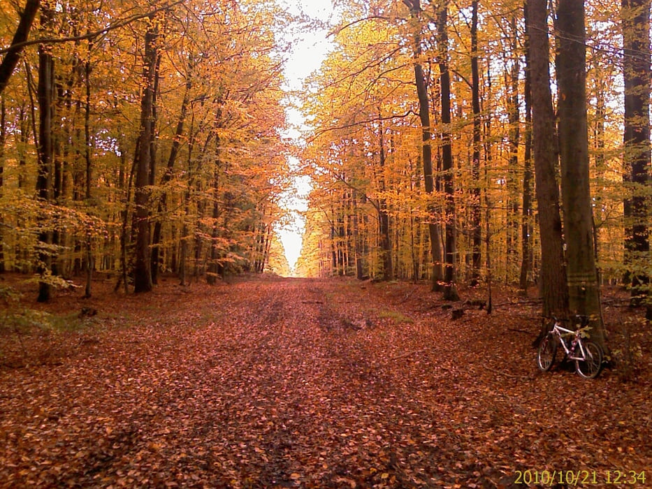 Von Zeil am Main  zum Rennweg über Prappacher Höhe zurück