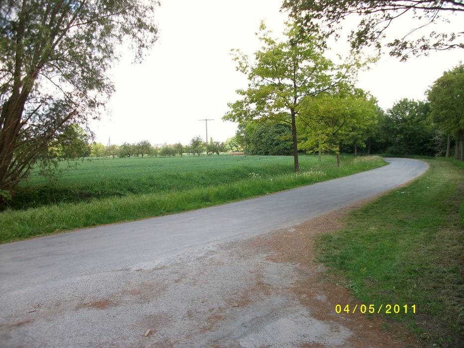 Soest