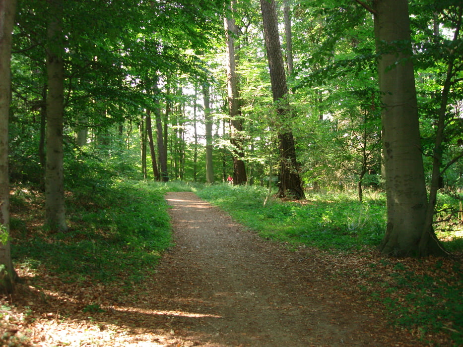 Rundfahrt Ratzeburger See