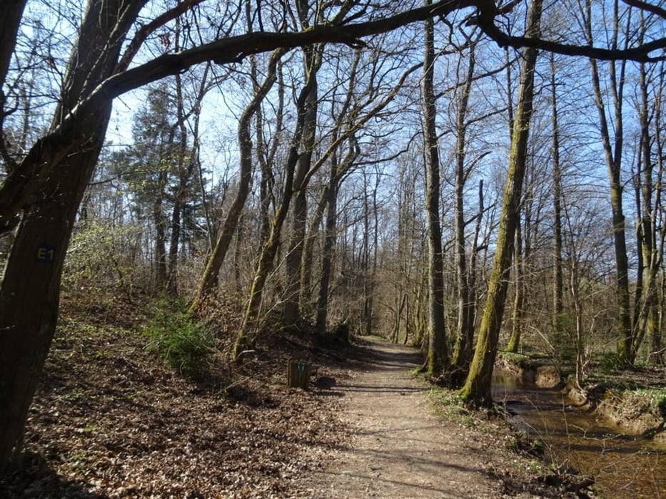 Von Montabaur nach Horressen und zurueck