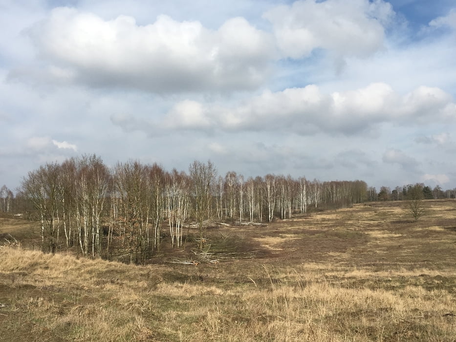 Doeberitzer Heide Ost