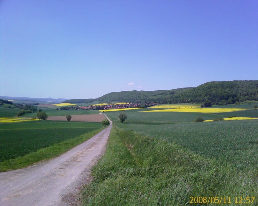 Göttinger Wald T4: Über die Gleichen