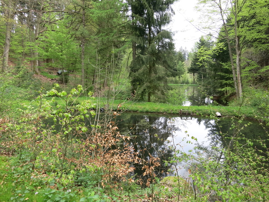 ehemalige Fischteiche