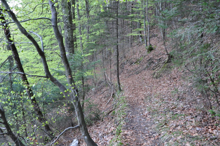 Vomp-Runde