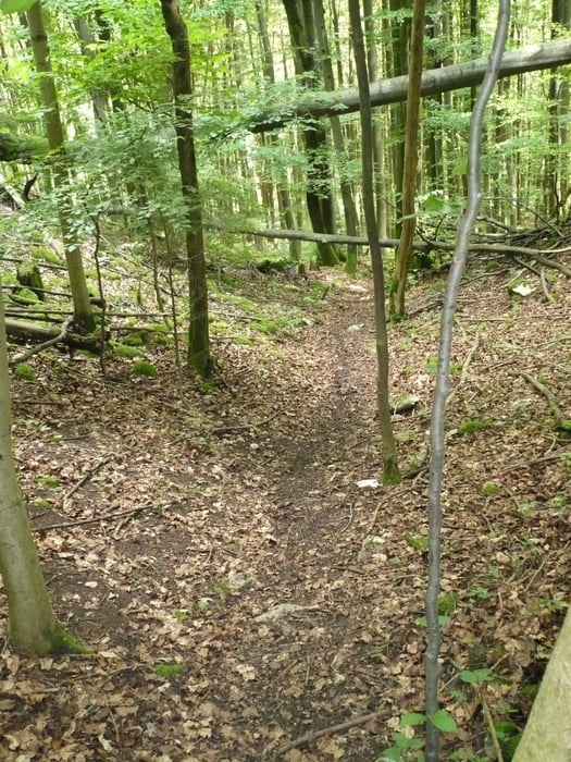 Gräfenberg-Egloffsteiner Hüll-Schweintal-Wichsenstein-Bärenfels-Wolfsbg-Gräfenberg