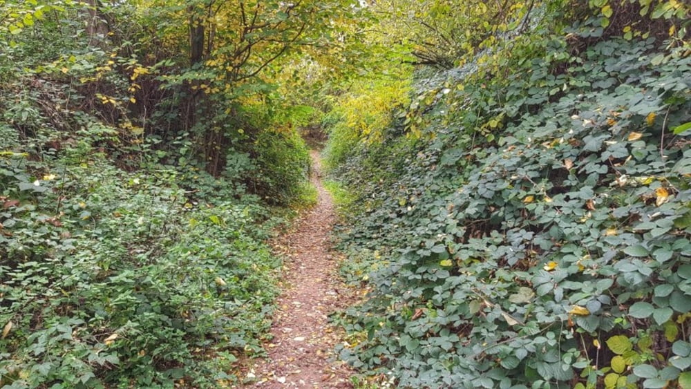 über Großostheim und Mömlingen