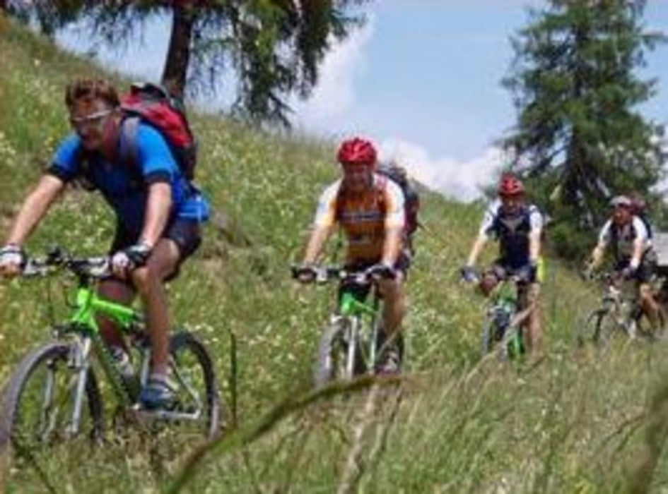 Südtirol I (Marebbe in Enneberg - Armentara Wiesen)