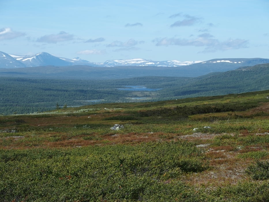 Kungsleden Kvikkjokk-Hemavan: Etappe #6: Jäckvik - Pieljekaisastugan