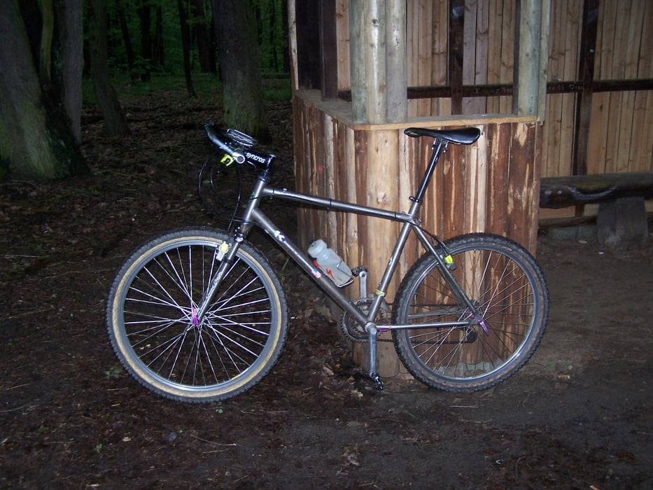 Kreuz und quer im Grunewald 01