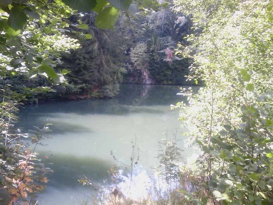 Goldkronach > Goldbergsee und zurück
