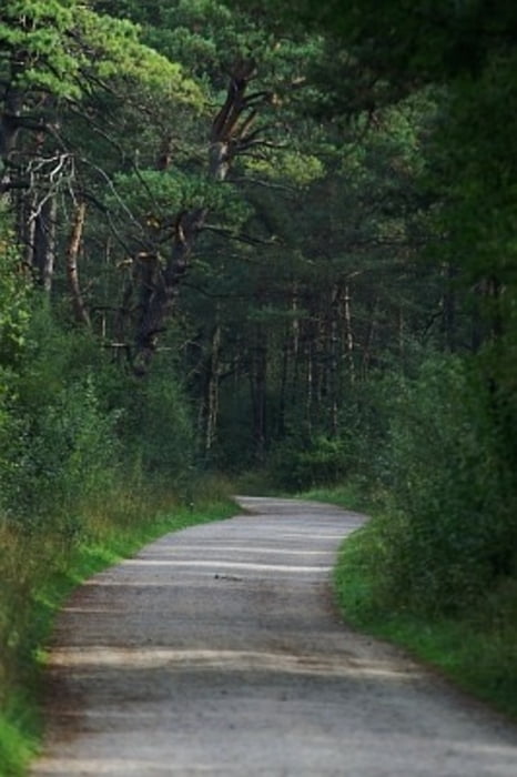 Augsburg-Stadtwald-Königsbrunner Heide-Königsbrunn und zurück