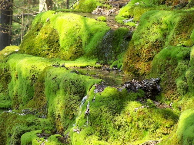 3D rund um berching,sulztal im naturpark altmühltal