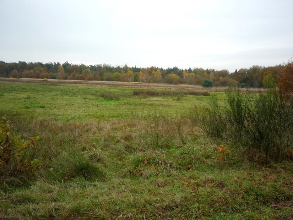 Rondwandeling Boekend