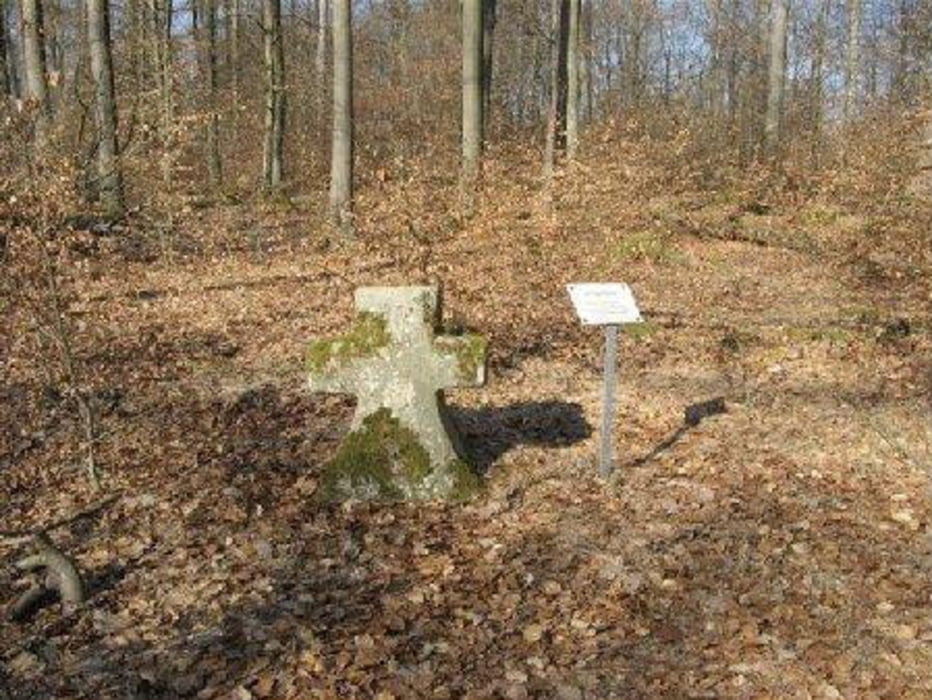 Von Zeil am Main in den Steigerwald zum Metzgerkreuz