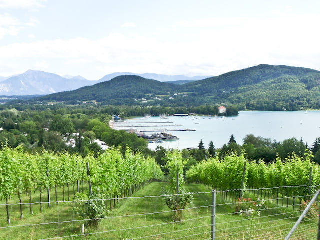 Wörthersee Panorameweg Gesamt