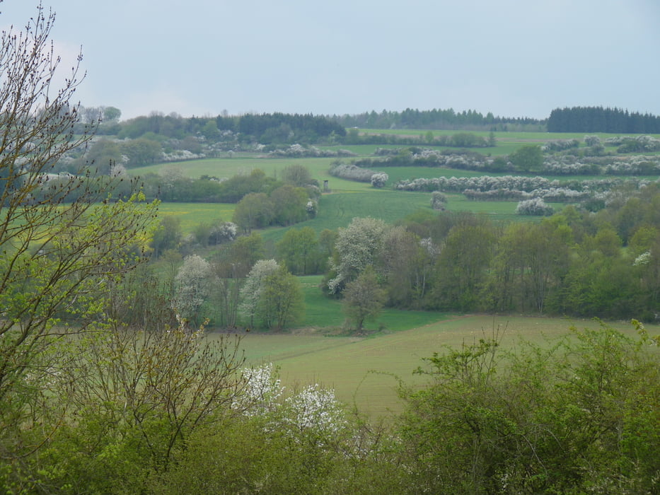 Kreuzberg-Rosenberg-Runde
