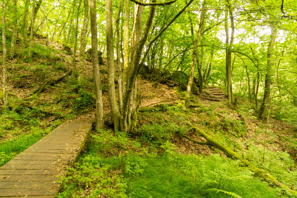 Kupfer-Jaspis-Pfad - Im Hosenbachtal