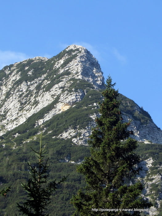 Mali Šmohor
